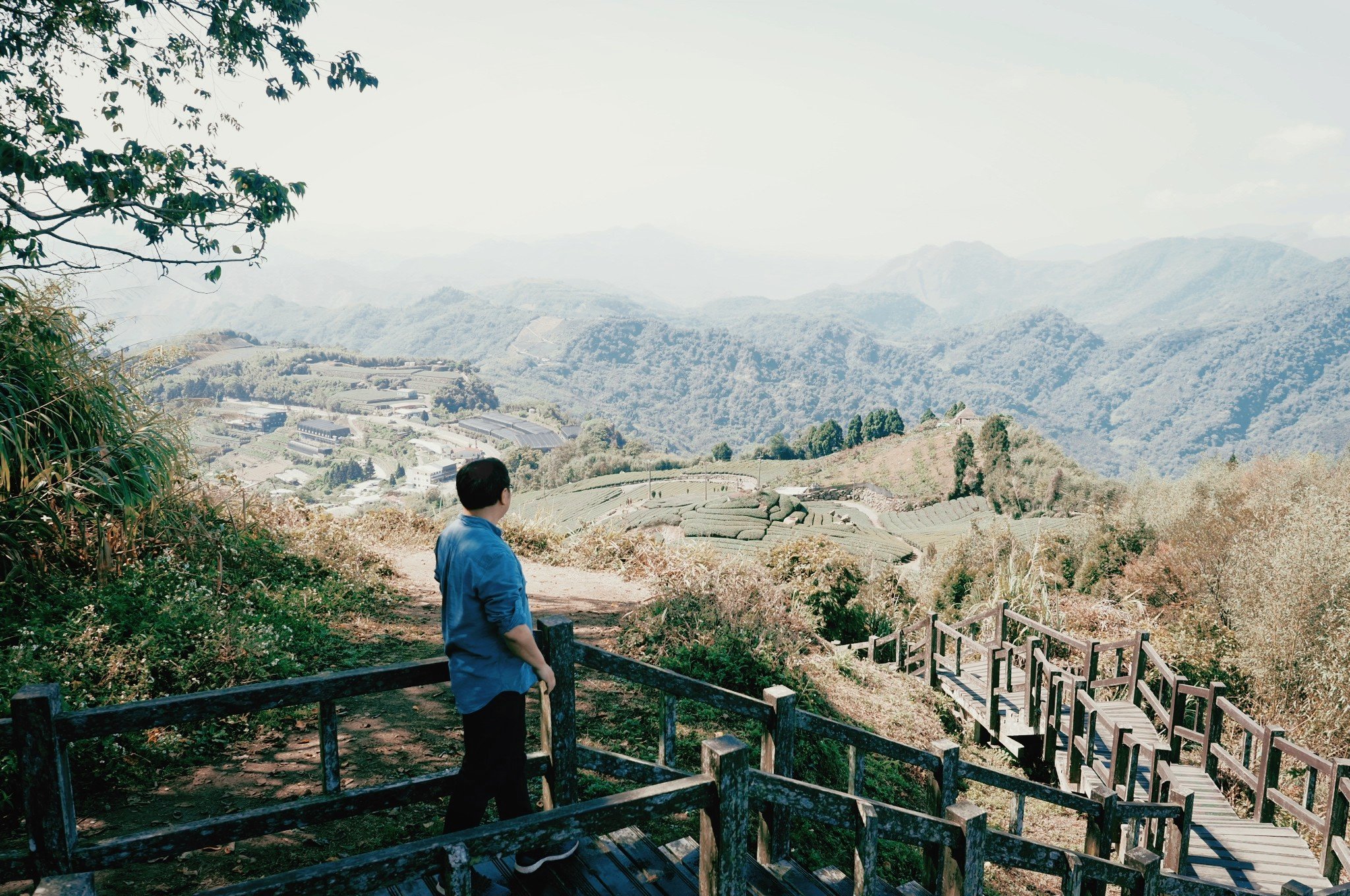 延伸閱讀：【台18線景點】茶霧的故鄉  台18線阿里山公路吃喝玩樂兩天一夜懶人包等你來挖掘！