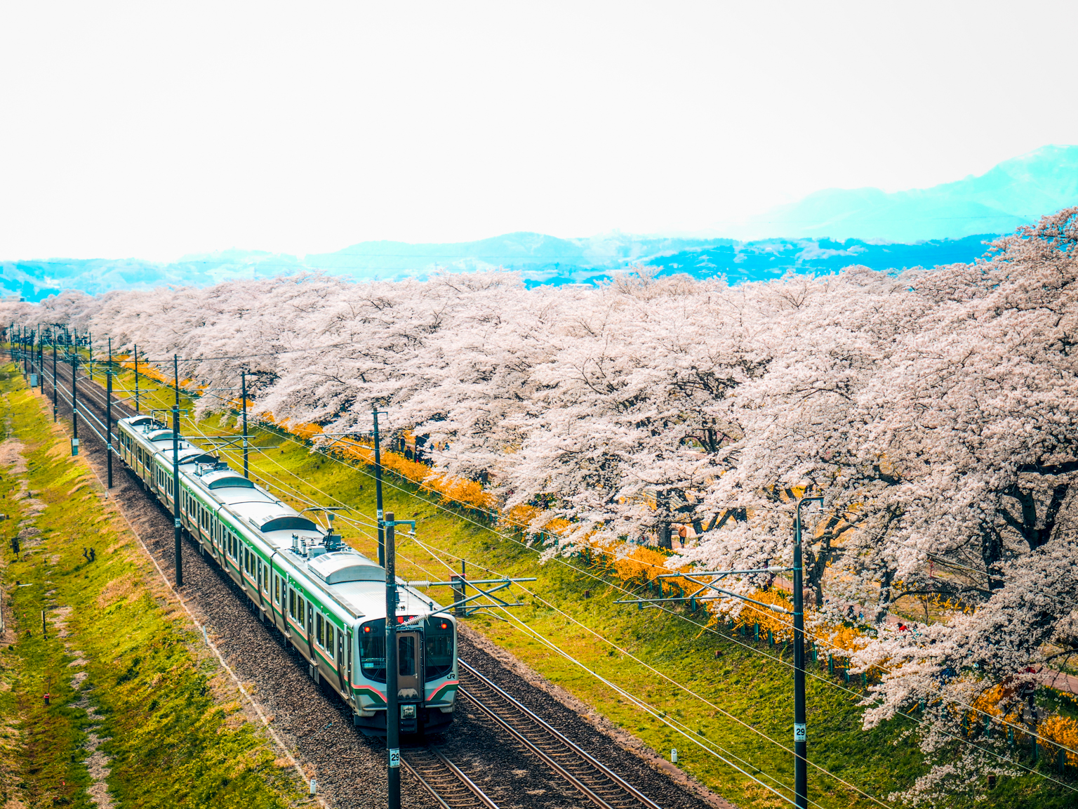 延伸閱讀：【仙台自由行】2024日本仙台景點、住宿、交通攻略  一篇懶人包看這篇就全知道