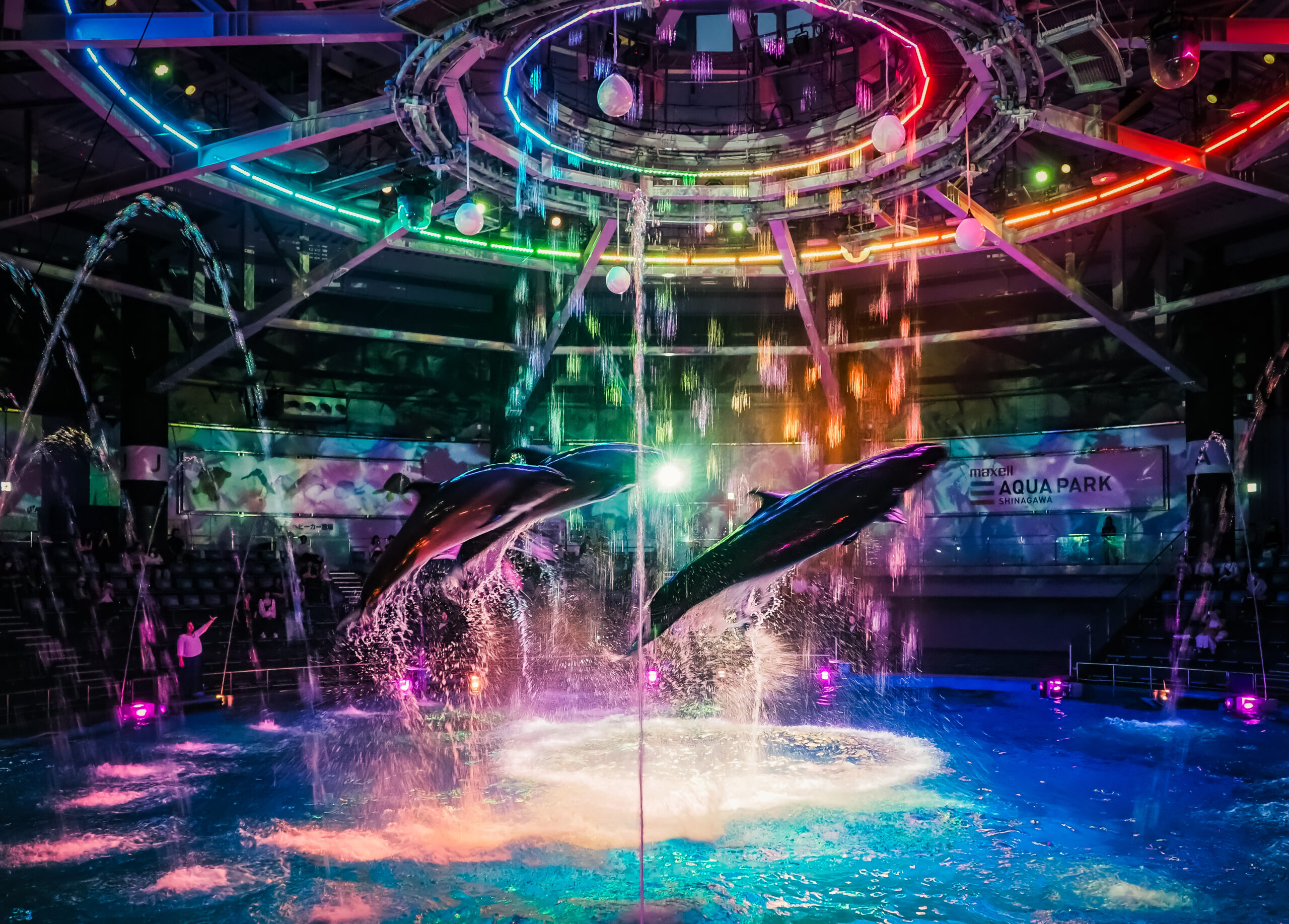 網站近期文章：【東京室內景點推薦】品川水族館Maxell Aqua Park 白天夜間海豚秀都超讚！門票與交通資訊